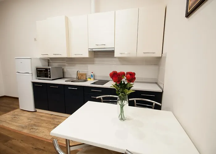 Wonderful Flat On Center * Uzhhorod