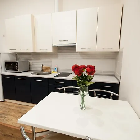 Wonderful Flat On Center * Oujhorod